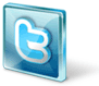seguici su twitter